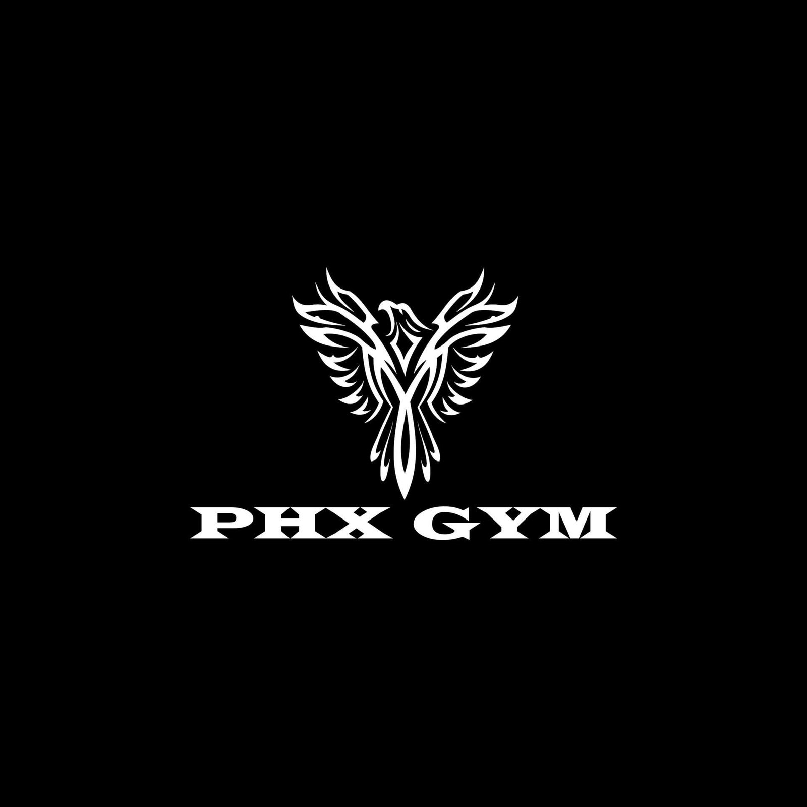 PHX GYM