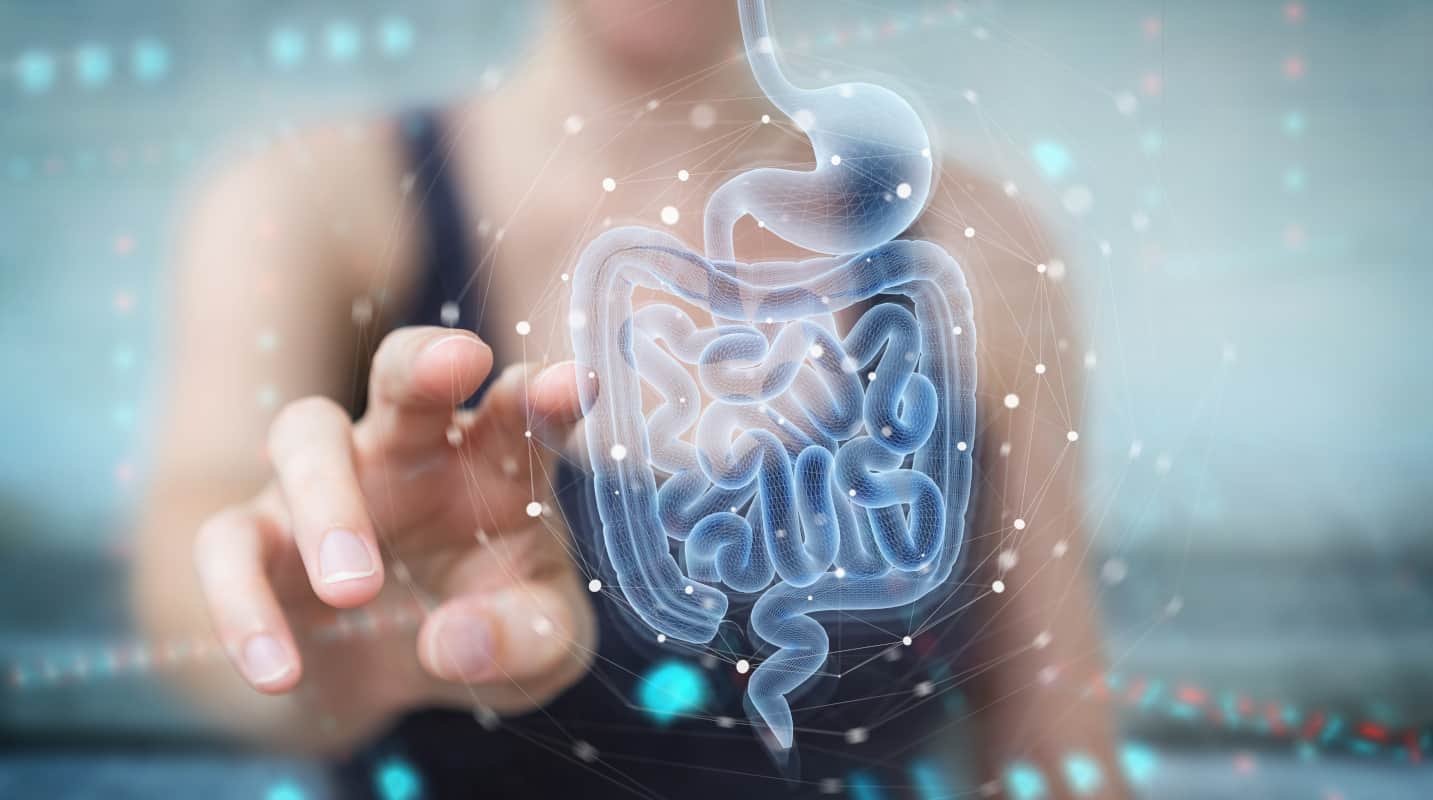 your-gut-affects-sports-performance